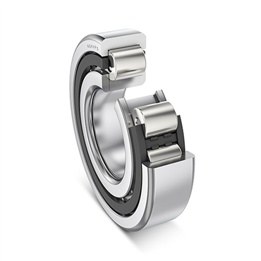 300 Series Cylindrical Roller Bearing